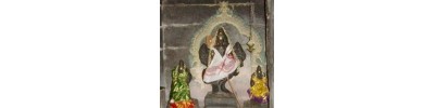 228. திருவெண்ணெய் நல்லூர்